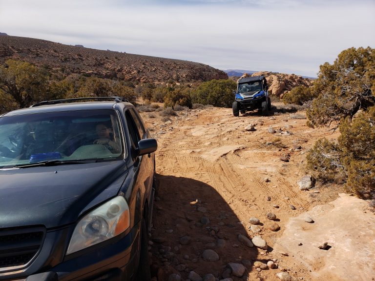 88015297 2852579584779909 674298251880431616 o 1 768x576