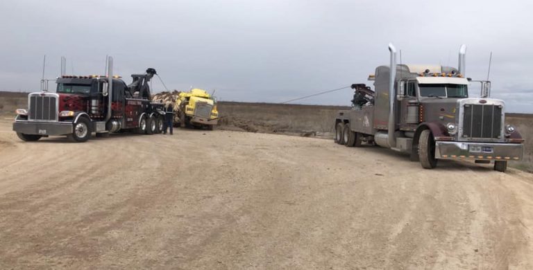 89454082 2544849772394580 9164466062173929472 n 1 768x390