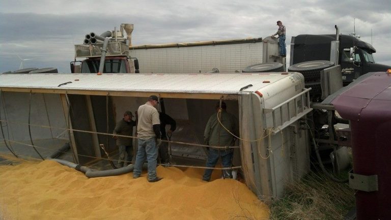 10251982 1385991471642148 5005326957301760502 n 1 768x433