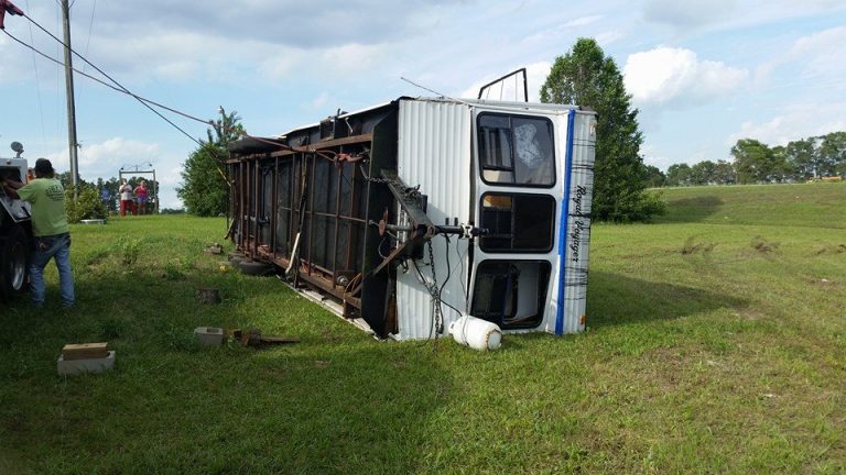 11128587 991239054220928 6989126230214484294 n 1 768x432