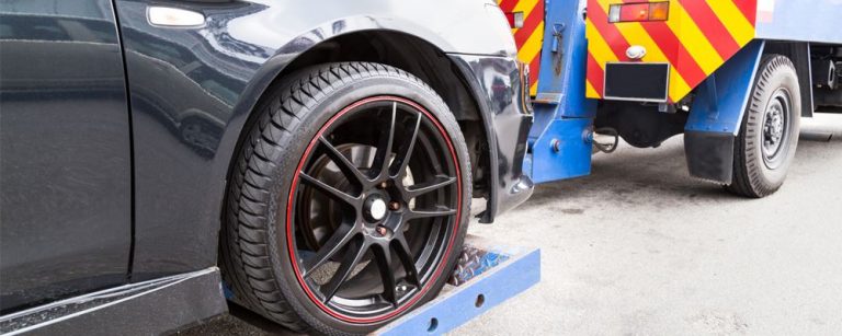 12983421 1691363821118214 6663855334620711092 o 1 768x307