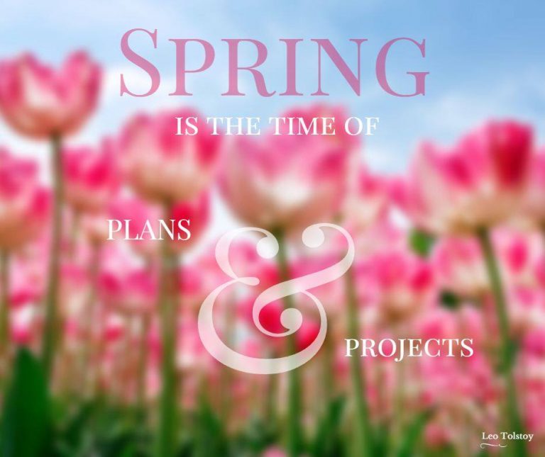 1618535 403841566461852 8518521584562459977 n 1 768x645