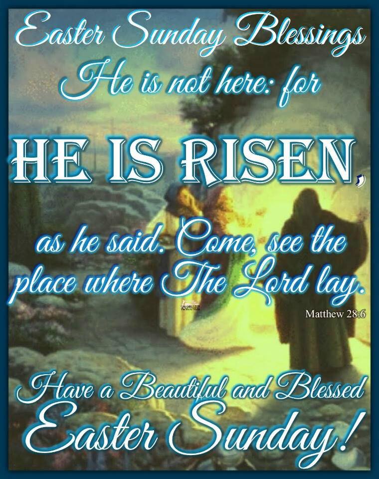 18447513 1590241431101819 5118009197976272661 n 1