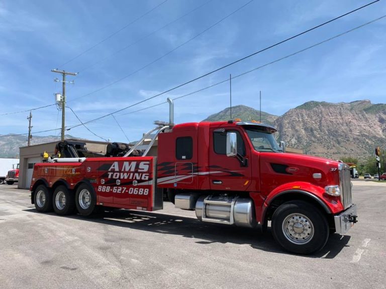 71170365 2502420369793408 3112368722723995648 n 1 768x576