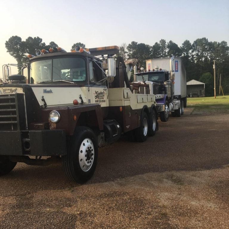 73081309 2201886013249389 1936296867650338816 n 1 768x768