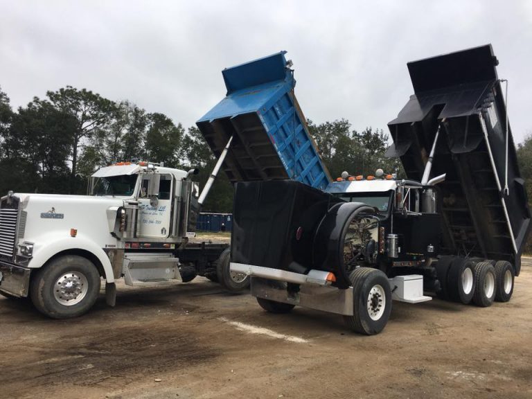 78586858 3194712970542794 8184375196904325120 n 1 768x576