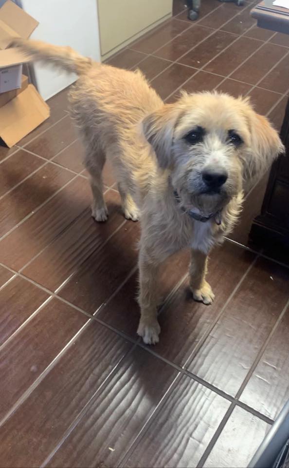 79439279 2506985702957469 5858002020677451776 n 1