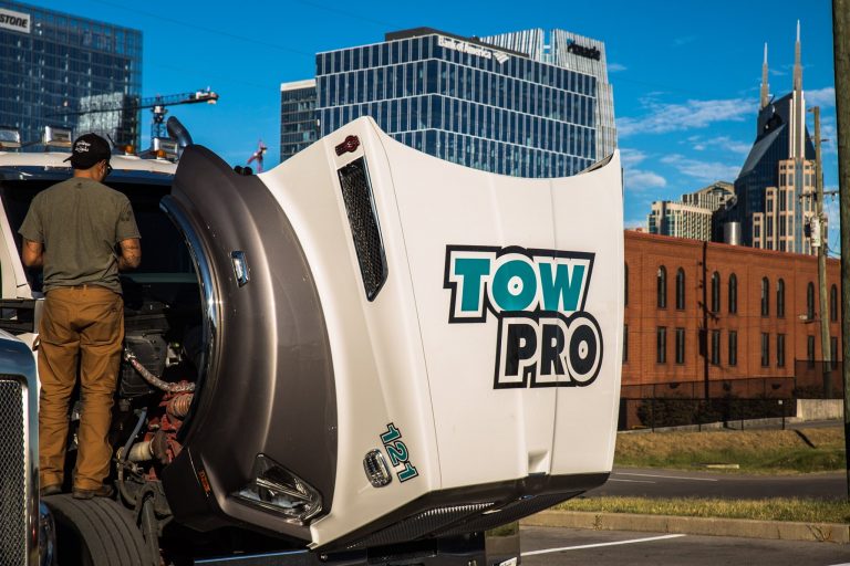 90436505 2892579657499731 8295697248818298880 o 1 768x512