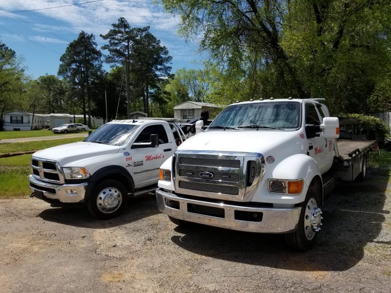 91980256 3608681655840670 1035120576131235840 o 1 768x576