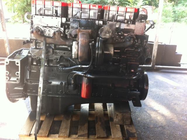 971695 590187697700367 1216114318 n 1