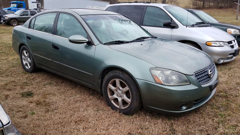 83742244 3693589090681647 8650953110769893376 o 1 768x432