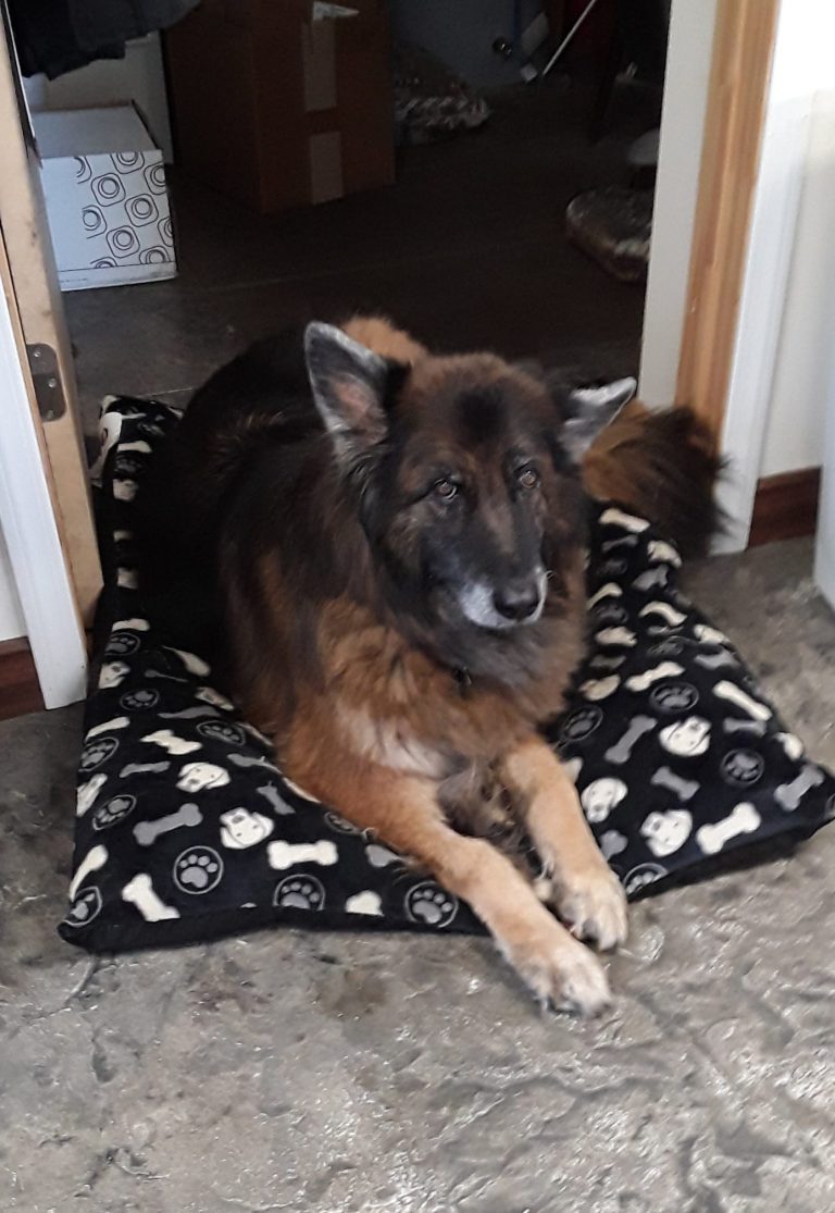 89317438 2734917346545989 2989442029953482752 o 1 768x1115