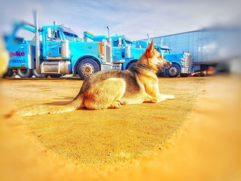 89580958 193528025419808 3801481562348847104 o 1 768x576