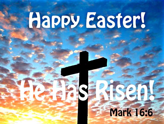 93101412 2389839097982098 2100389112556027904 n 1