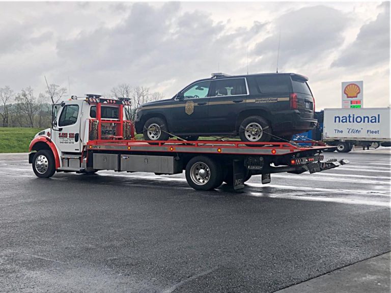 93323002 2390718477894160 4501480434672074752 n 1 768x576