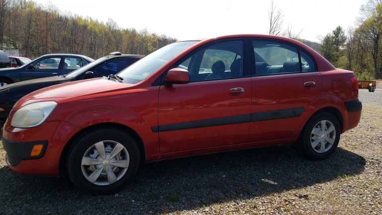 94419805 3985137314860155 6806223279422963712 o 1 768x432