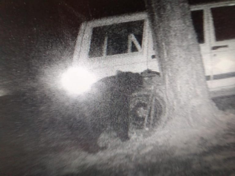 94609251 3786757418064727 7313860251709603840 n 1 768x576