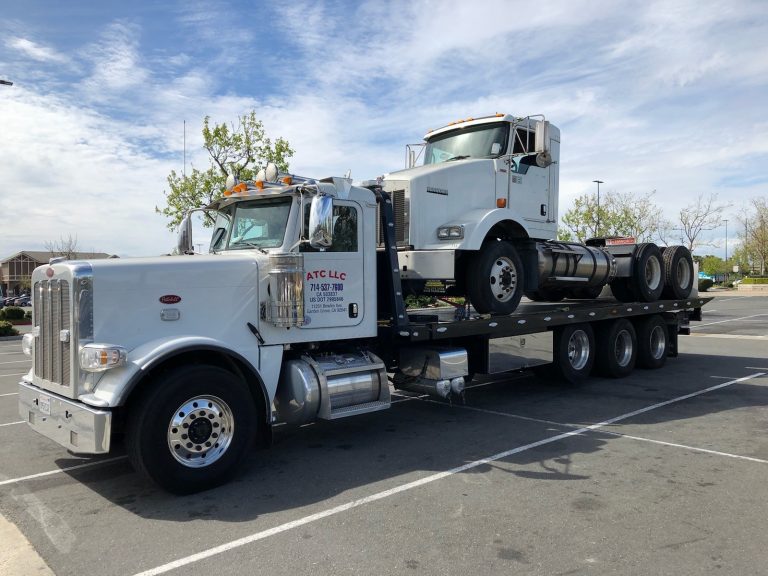 95437265 113449440356120 6123990775542841344 o 1 768x576