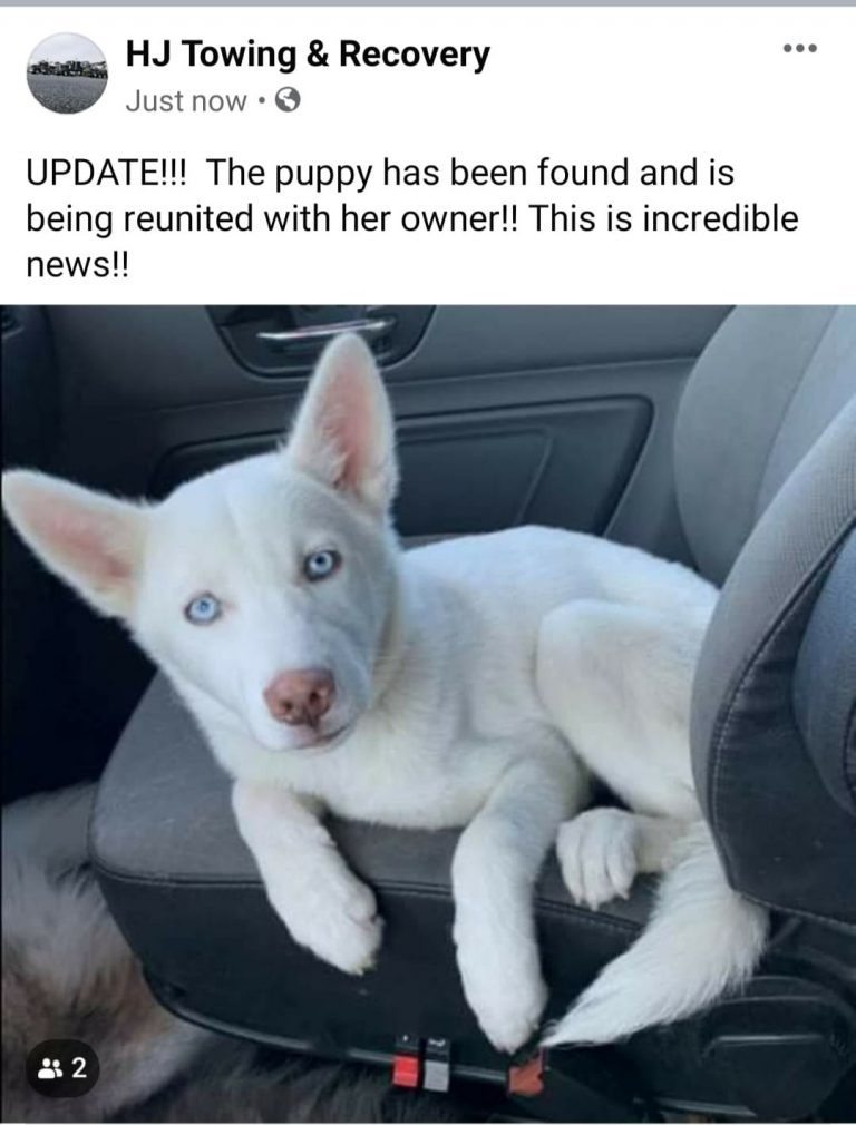 95938969 2493046147674698 5282459102885183488 o 1 768x1010