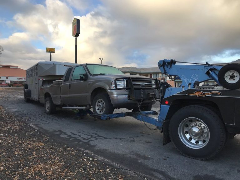 black butte auto weed 2 768x576