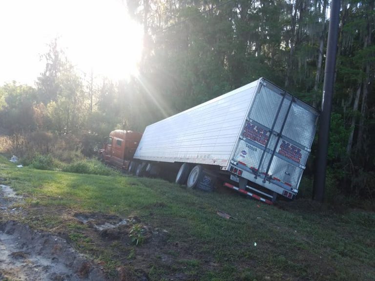 54522460 2391017321134458 3282566134791929856 n 1 768x576