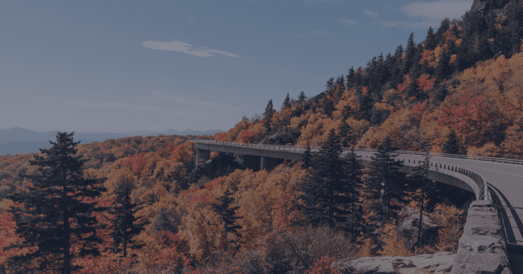 Blog Images 17